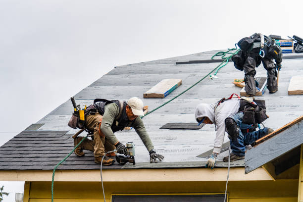 Professional Roofing technician working in Lorane, OR